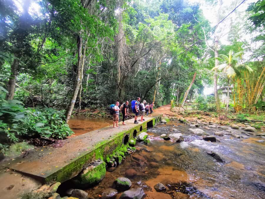 Ilha Grande: Private Hiking with Forest, Beaches & Waterfall - A Personal Look at the Ilha Grande Hiking Adventure