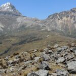 Ilinizas Hiking Day Tour - Final Thoughts: Why Choose the Ilinizas Hiking Day Tour?