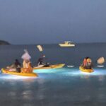 Illuminated Night Kayaking at the Elysian Resort - FAQs