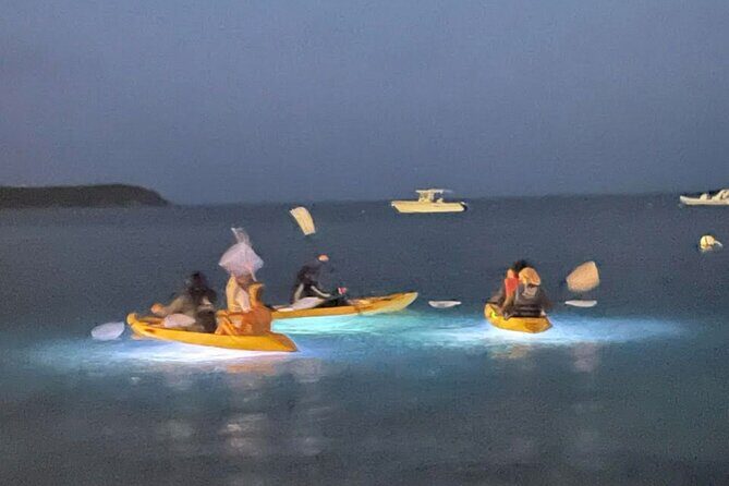 Illuminated Night Kayaking at the Elysian Resort - FAQs