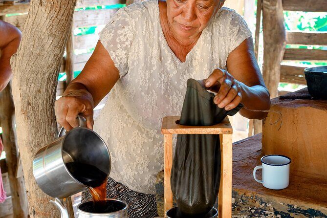 Immerse in Dominican Culture: Private Community Tour - The Guide Experience & Reviews