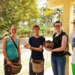 Immersive Coffee Farm Experience at Finca El Ocaso from Salento - The Real Value in the Details