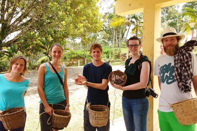 Immersive Coffee Farm Experience at Finca El Ocaso from Salento - The Real Value in the Details