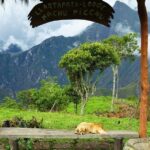 Inca Jungle Premium to Machu Picchu 4D/3N - Who Is This Tour Best For?