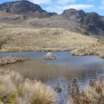 Inca Trail Cajas National Park tour from Cuenca - A Deep Dive into the Inca Trail Cajas National Park Tour
