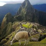 Inca Trail to Machu Picchu 4 days - Final Thoughts: Is the Inca Trail 4-Day Trek Right for You?