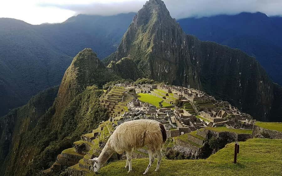 Inca Trail to Machu Picchu 4 days - Final Thoughts: Is the Inca Trail 4-Day Trek Right for You?
