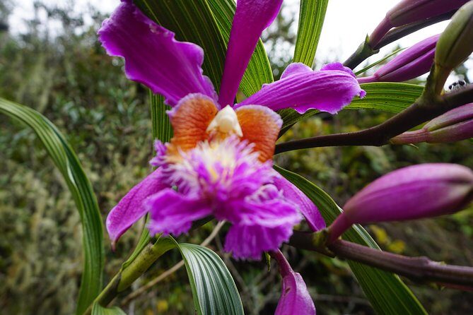 Inca Trail to Machu Picchu - One Day! - Glamping Service - A Detailed Look at the Inca Trail to Machu Picchu – One Day Glamping Tour