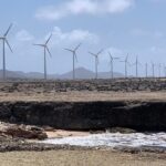 Indian Inscriptions Tour with Local Guide - Authentic Experiences and Value