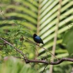 Individuelle Regenwald Tour - Frequently Asked Questions