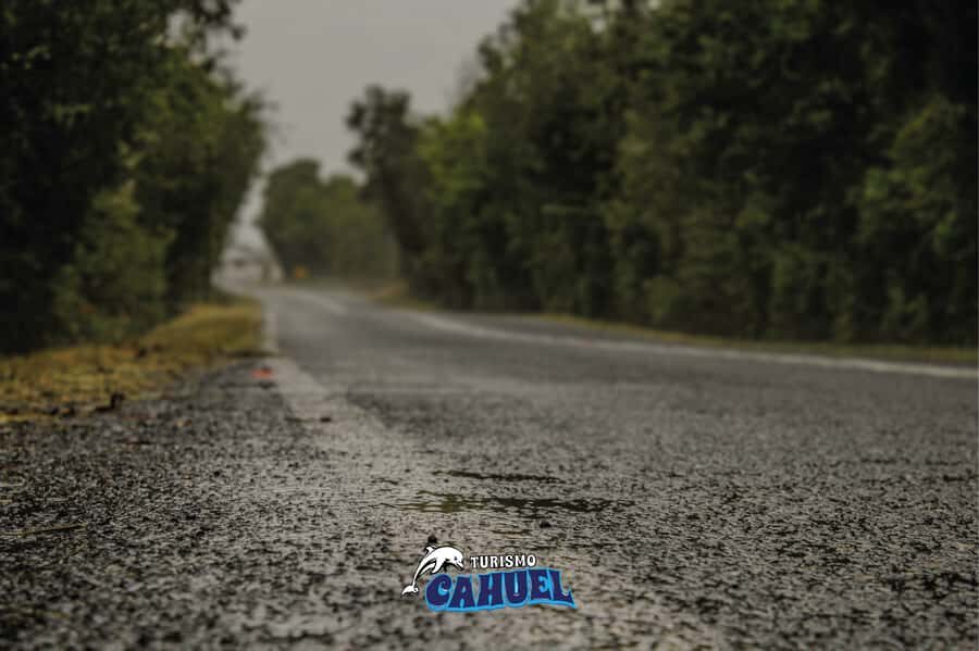 Inner Coast of Chiloé: Road and Sea. - A Deep Dive into the Tour Experience