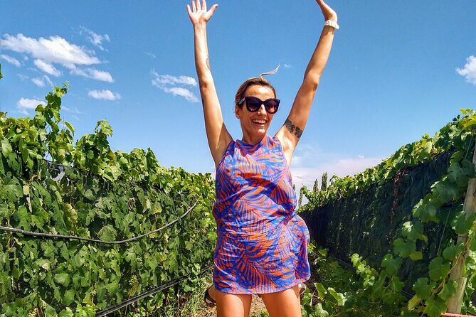 Intimate Wine Tour with Wine Pairing Lunch - Who Should Consider This Tour?