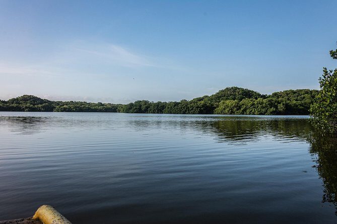 Into the Wild: Canoeing & Birdwatching in La Boquillas Untouched - Practical Tips for Making the Most of Your Tour