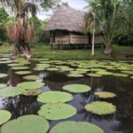 Iquitos: 3 Days and 2 Nights Guided Amazon Jungle Tour - What Makes This Tour Stand Out?