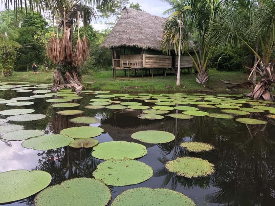Iquitos: 3 Days and 2 Nights Guided Amazon Jungle Tour - What Makes This Tour Stand Out?