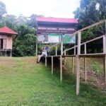 Iquitos: 4-Day Amazon Wildlife Tour in Pacaya Samiria - Value and Overall Impression