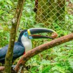 Iquitos: 6-Hour Amazon River Tour w/ Belén & Butterfly Farm - Exploring the Itinerary: What Makes Each Stop Special