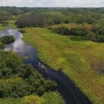 Iquitos: Amazon River and Tribes Day Trip - Practical Details and Considerations