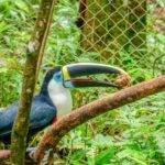 Iquitos: Amazon River Full Day Guided Tour - FAQ