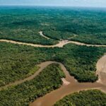 Iquitos: excursion in the amazon 2 Days - Practical Details & What You Should Know