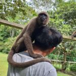 Iquitos: Full Day | Visit to Monkey Island (Official) - A Detailed Look at the Amazon Full Day Tour