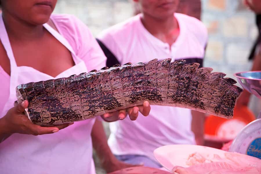 Iquitos: Visit the Exotic Belén Market + Venice Loretana - What’s Included & What to Consider