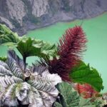 Irazú Volcano Half Day Tour from San Jose - The Route and Highlights