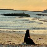 Isabela Island Tour in Galapagos with Kayak - Who Should Consider This Tour?