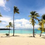 Isla Catalina All Inclusive Snorkel and Beach Day from Punta Cana - Who is this tour best suited for?