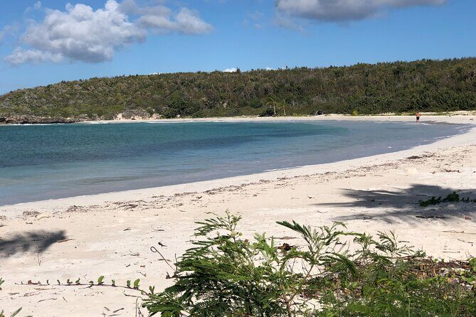 Isla de Vieques Beach Hopper Sightseeing Tour - FAQs