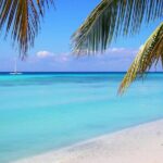 Isla Saona a tropical paradise and the best natural pool in Punta Cana - An In-Depth Look at the Isla Saona Tour