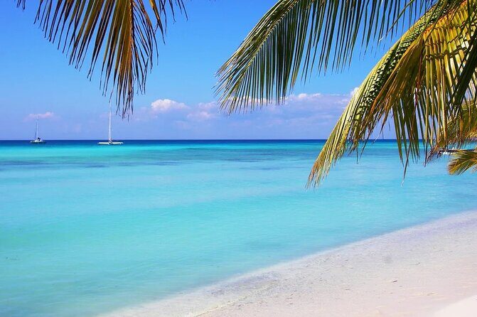 Isla Saona a tropical paradise and the best natural pool in Punta Cana - An In-Depth Look at the Isla Saona Tour