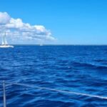 Isla Saona Day Trip From Santo Domingo with Lunch - An In-Depth Look at the Isla Saona Day Trip