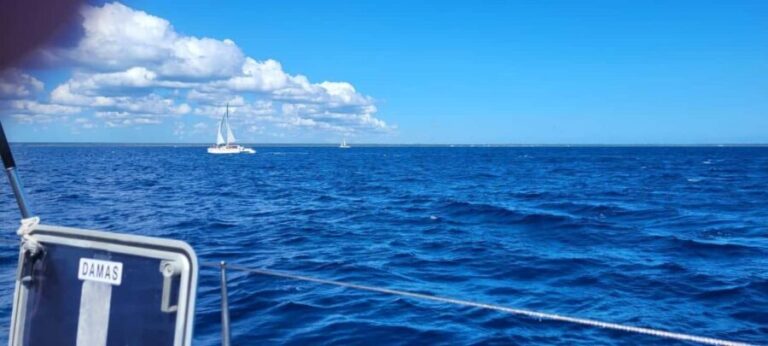 Isla Saona Day Trip From Santo Domingo with Lunch - An In-Depth Look at the Isla Saona Day Trip