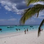 Isla Saona El Paraiso del Caribe - Authentic Perspectives from Travelers