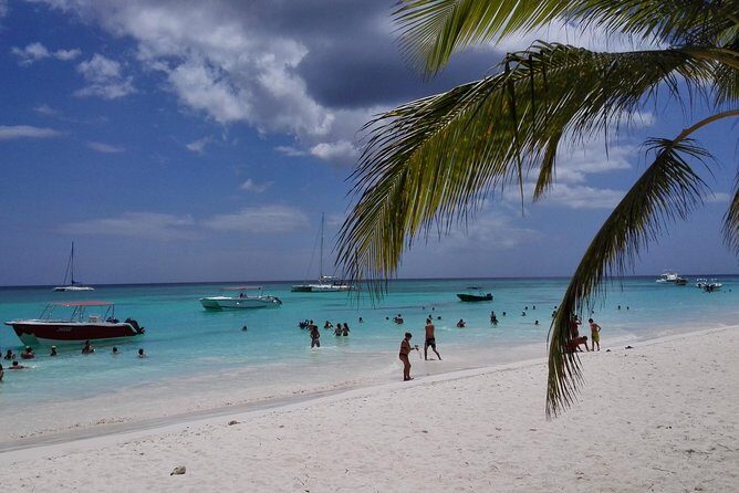 Isla Saona El Paraiso del Caribe - Authentic Perspectives from Travelers