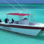 Isla Saona Private Catamaran Cruise (All Inclusive) - What Travelers Are Saying