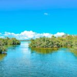 Isla Saona Speedboat Tour - Lunch, Wildlife & Natural Pools - Who Will Love This Tour?