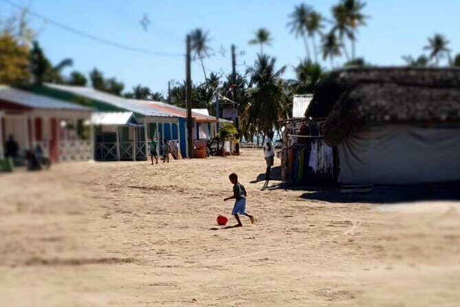 Island DE Saona: EN Small Group Tour on Trimaran Motorise - Frequently Asked Questions