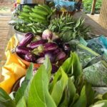 Island Eco Farm Tour with Local Treats and Sapphire Beach Time - The Sum Up
