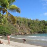 Island Escape: Discovering Grenada's Private Paradises - The Authentic Experience