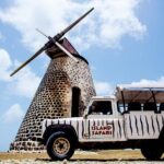 Island Safari Discovery - Final Thoughts