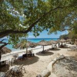 Island Treasures: Caves, Turtles and Turquoise Beach Break - Authentic Experiences and Guest Perspectives