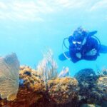 Island Wreck and Reef Scuba Excursion - Who Will Love This Tour?