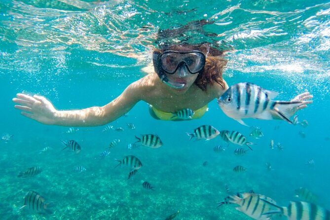 Islas del Rosario plus Bioluminescence Experience - The Nighttime Bioluminescence Experience