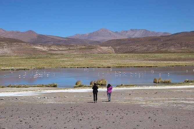 Isluga National Park Tour - Who Will Love This Tour?