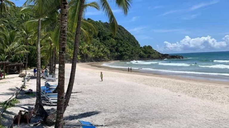 Itacare: 4 Beaches Trail and Tijuipe Waterfall - A Detailed Look at the Itacare 4 Beaches and Tijuipe Waterfall Tour