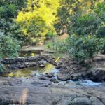 Itacare: Cleandro Waterfall - The Forest Walk and Waterfalls