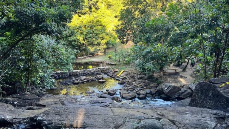 Itacare: Cleandro Waterfall - The Forest Walk and Waterfalls