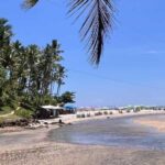 Itacare: Jeribucaçu Trail and Usina Waterfall - What’s Included and What to Expect